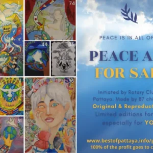 Promoting Peace